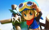Dragon Quest Builders Switch Detailed