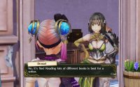 Atelier Lydie & Suelle Details Ambitions Journal, Synthesis Agents
