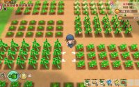 Story of Seasons: Friends of Mineral Town Coming to Switch