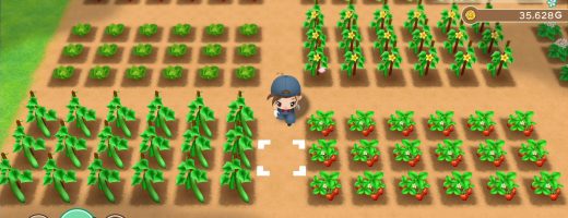 Story of Seasons: Friends of Mineral Town Coming to Switch