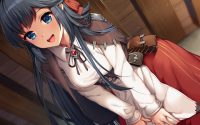 Strategy RPG War of Ashird Announced