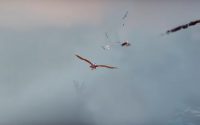 The Falconeer Gets New Trailer, Xbox One Version
