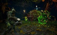Arboria Launching in September