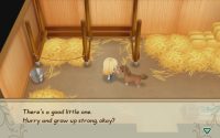Story of Seasons: Friends of Mineral Town North American Date Revealed