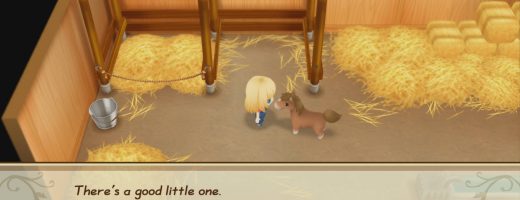Story of Seasons: Friends of Mineral Town North American Date Revealed