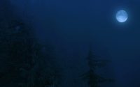 Werewolf: The Apocalypse – Heart of the Forest Announced