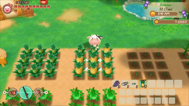 Story Of Seasons: Friends Of Mineral Town Review - Rpgamer