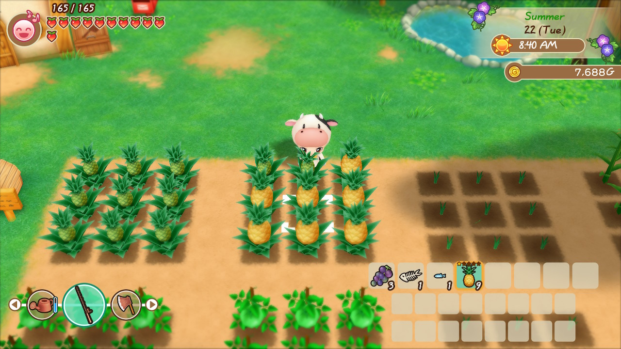 story of seasons friends of mineral town release date switch