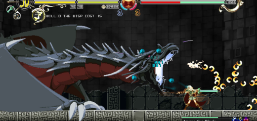 Record of Lodoss War: Deedlit in Wonder Labyrinth Final Update Released
