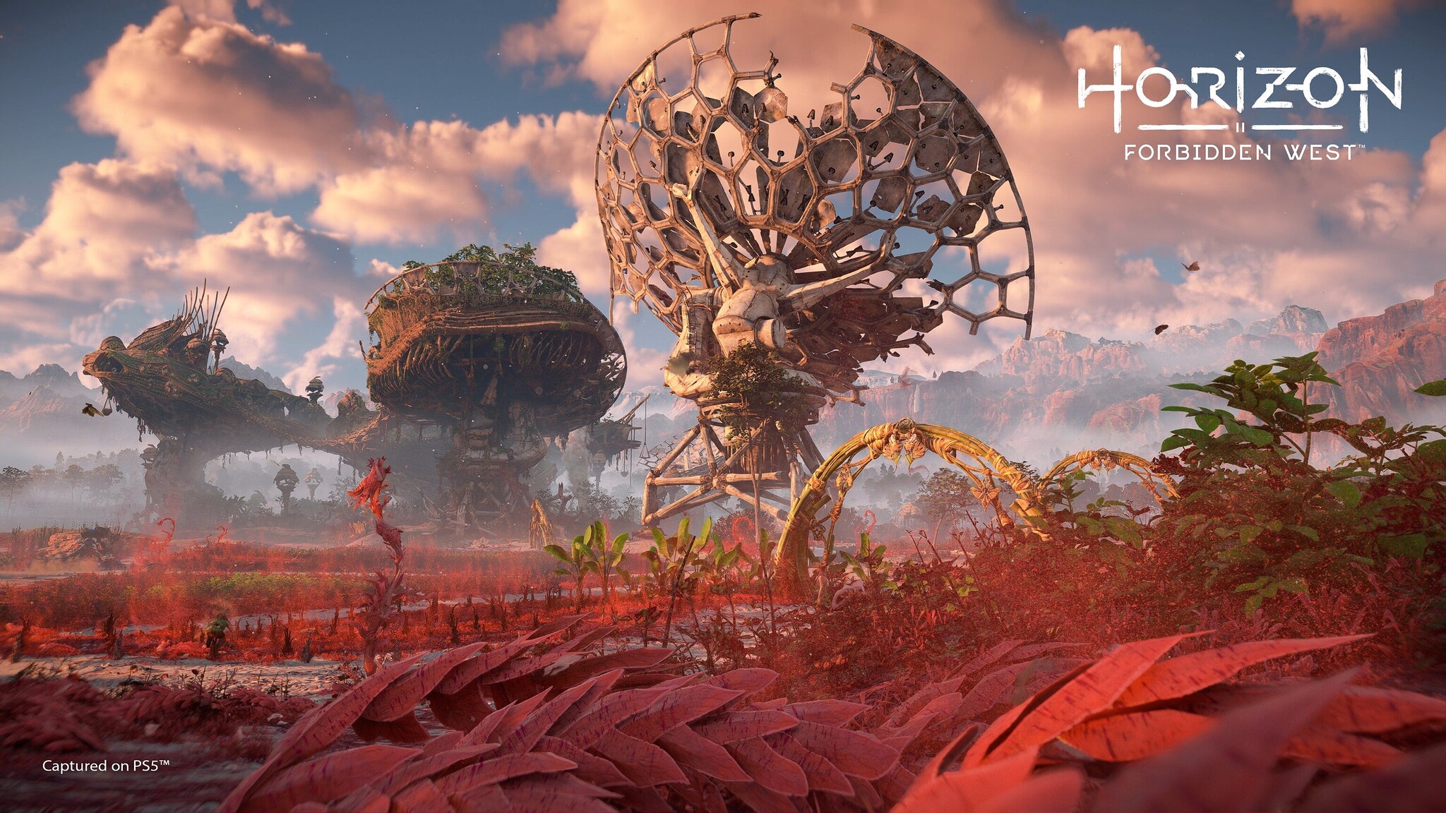 Horizon Forbidden West Review – GameSpew