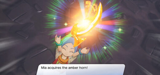 Dragon Quest Treasures Treasure Hunting Detailed