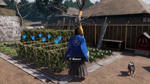 Living that sweet farming life style.