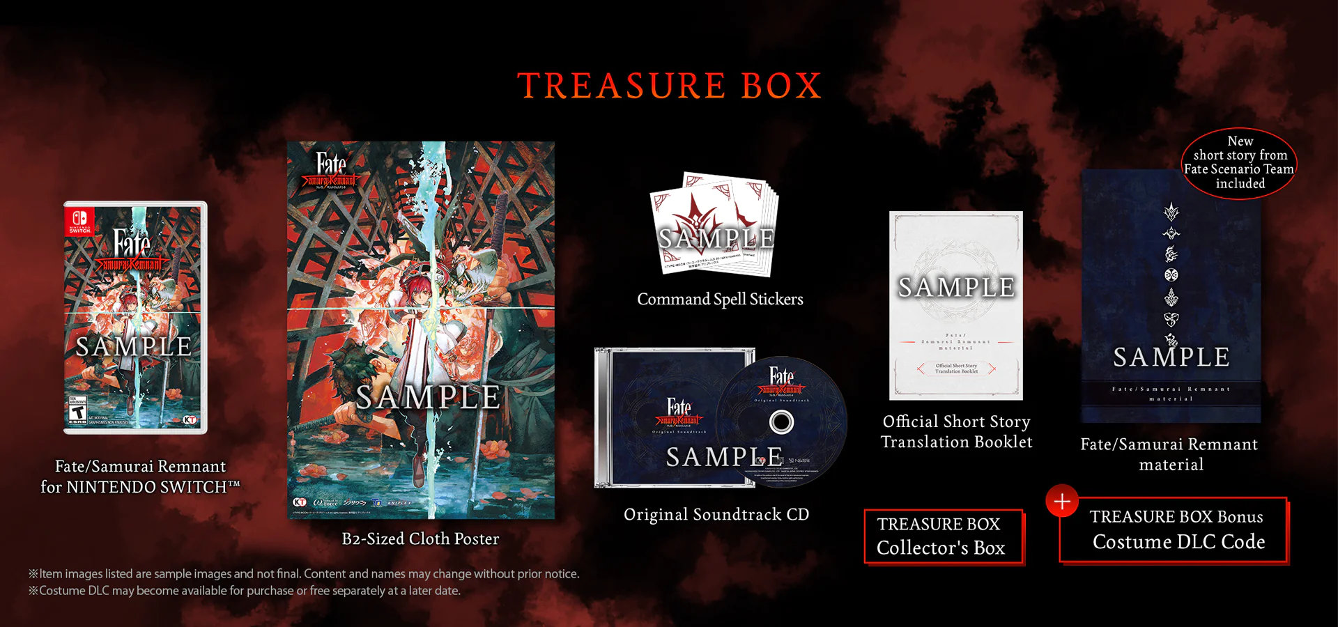 Switch Fate/Samurai Remnant TREASURE BOX-