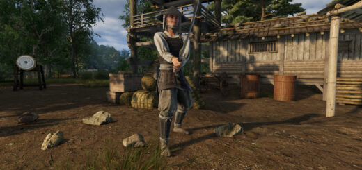 Sengoku Dynasty Teases Its Full Release Updates