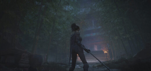 Digital Impermanence and the Curious Case of Wuchang: Fallen Feathers