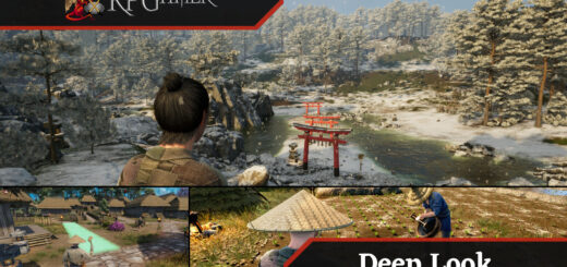 Sengoku Dynasty Deep Look
