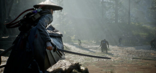 Beast of Reincarnation Provides Combat Overview