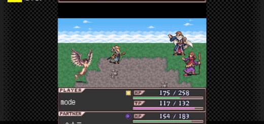 Lost Chronicle Gets Japanese PC, Switch Release