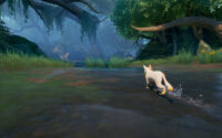 Warrior Cats: Clans of the Forest Releasing in October