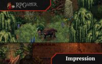 Drova II: Torn Lands Impression