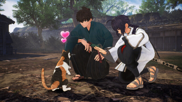 There are lots of cats and dogs to pet.